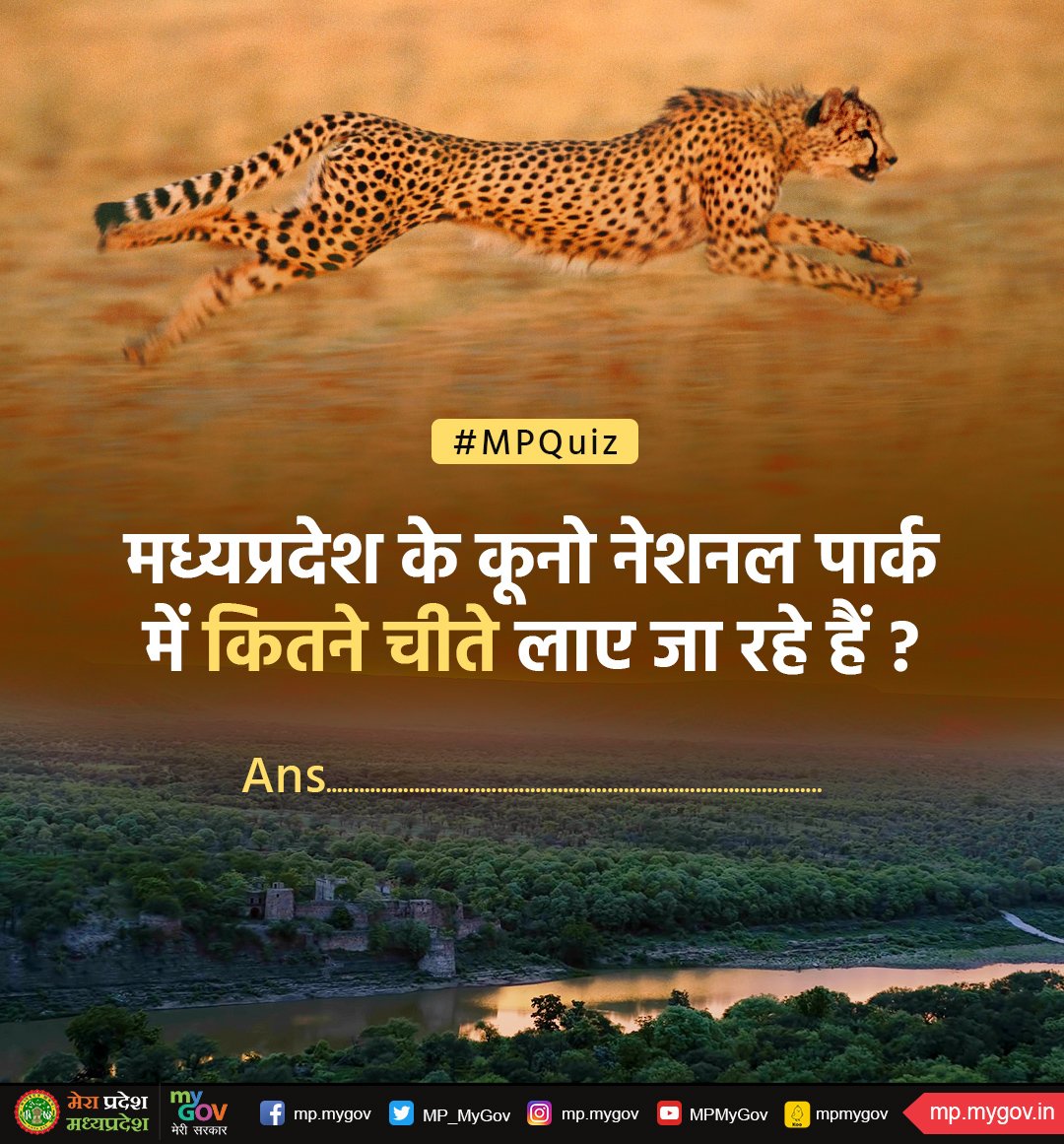 MP_MyGov's tweet photo. मध्यप्रदेश के कूनो नेशनल पार्क में कितने चीते लाए जा रहे हैं?

#Cheetahs #CheetahIsBack #CheetahStateMP 
#MPWelcomesCheetah https://t.co/VYc6EXtqbj
