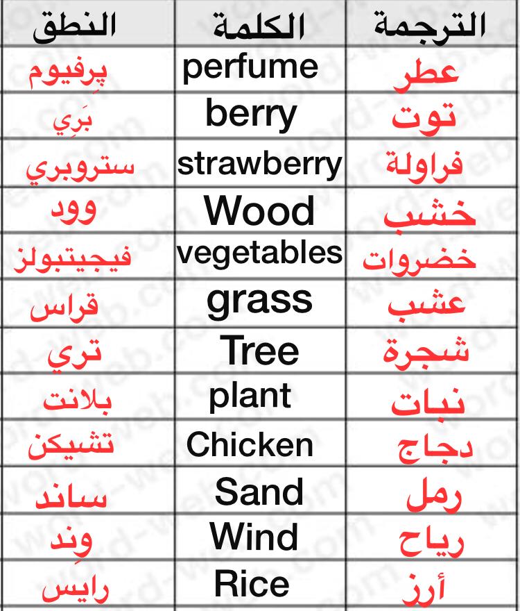 ����� ���� ����� ���������� Fcx3tUuWAAEVyDp?form