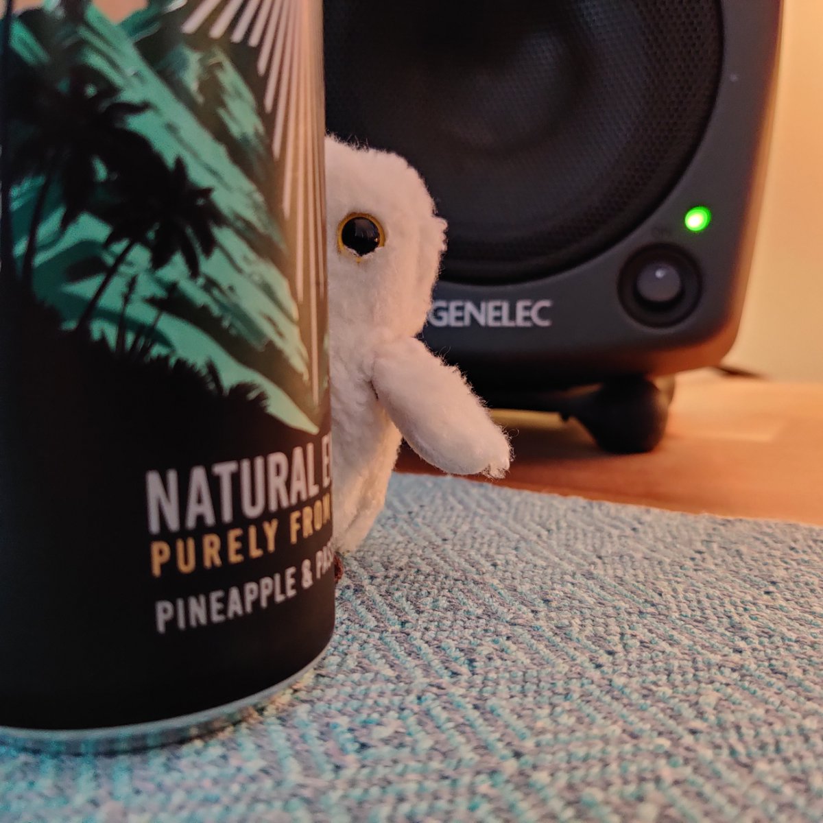 BuboAndFriends's tweet photo. I am looking at you 👀
#menacingly https://t.co/Aw9LsInUCU