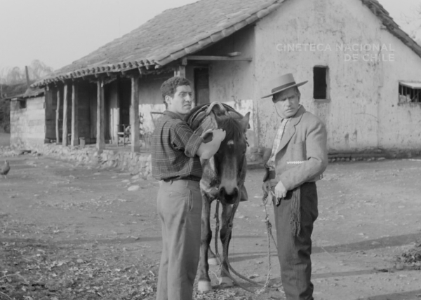 MoralescMarcelo's tweet photo. Durante 2019 comenzamos a restaurar en @CinetecaChile "Un viaje a Santiago", filme de Hernán Correa de 1960. Al digitalizar los negativos en 4k, de pronto nos dimos cuenta que uno de los secundarios era Víctor Jara. El dato no estaba registrado en ningún libro o nota de prensa -> https://t.co/bSs1eb1oZJ
