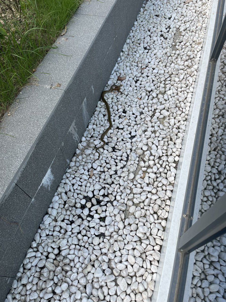 Ai diansheng (@aidiansheng) on Twitter photo 