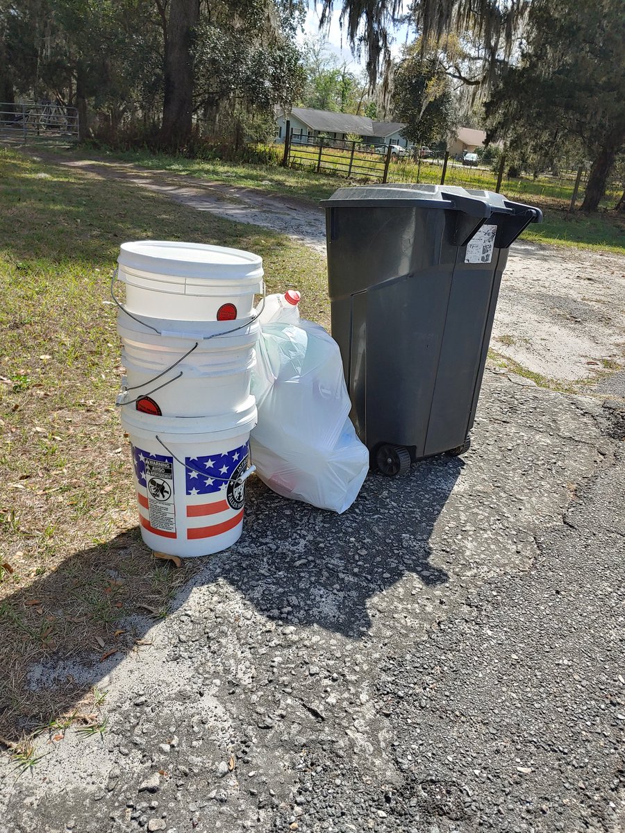 SmooshMee's tweet photo. Good rising #buckethedz hope y'all having a great start to your weekend. Tip for the day: "Let's make positive intentions to positive actions" & conquer the day! #nfts #fridayvibes #GoodFriday #nicefattush https://t.co/FakNw1AU5s