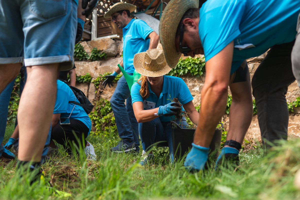 Ampans's tweet image. 🌱 Hemos acogido un encuentro de Team Building muy especial en #Urpina. Nos han visitado 130 directivos de @caixabank Payments&amp;amp;Consumers, que han colaborado con personas de la entidad plantando árboles autóctonos y plantas aromáticas en la finca. ¡Gracias por elegirnos!