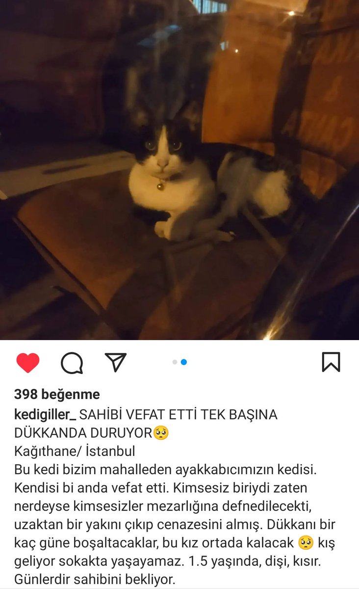 Arkadaşlar ınstagramda çok acı bir ilana denk geldim, lütfen elden ele yayalım bu ilanı 🥺