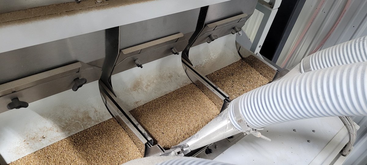 KBIprocessing's tweet image. The first few shipments have been completed using our colour sorter and new bagging line. On our first batch, the extraction rate increased 18.7% and our bagging efficiency increased by 275%. Progress is hard but rewarding work! @CanSeed @OneStepAutomate @jason_macnevin