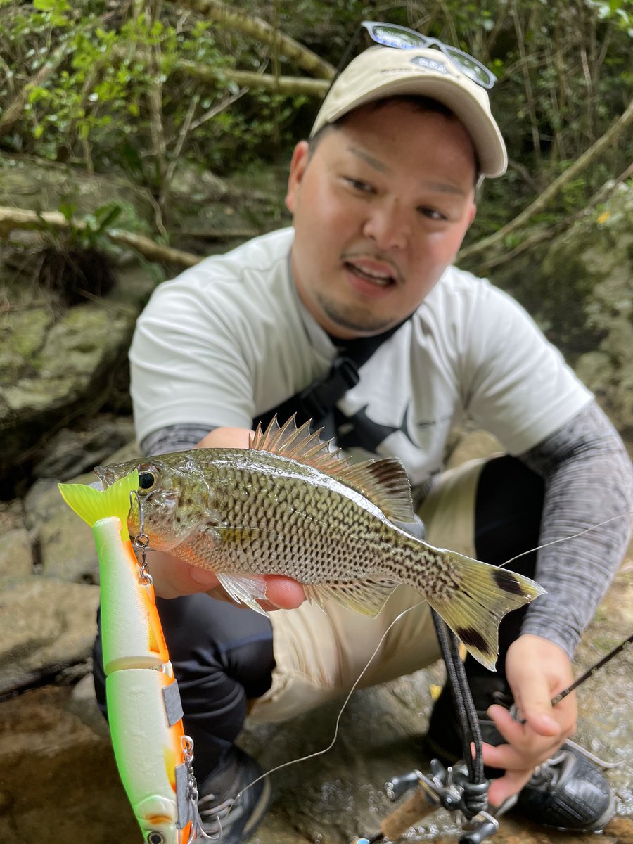 rCPcLiO5budbqu1's tweet photo. 本日もヤンバルへ。
ミノーイング中心に小場所も的確に撃ってみたけど、やっぱりサイズが出ない。
中流域でメッキが乱舞。
なんかおかしいなー。
#tulala
#tulalajp
#沖縄渓流ロッドプロト
#リス捕りあみ
#momoifishingline
#dca
#dreamchasingangler
#夢追う釣り人 https://t.co/qyhlile0vk
