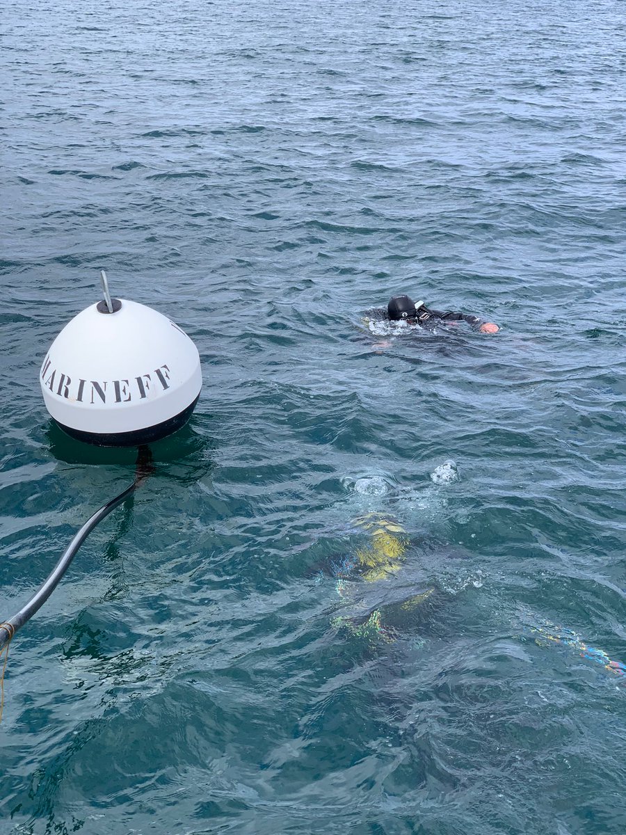 Marineff Project tweet media