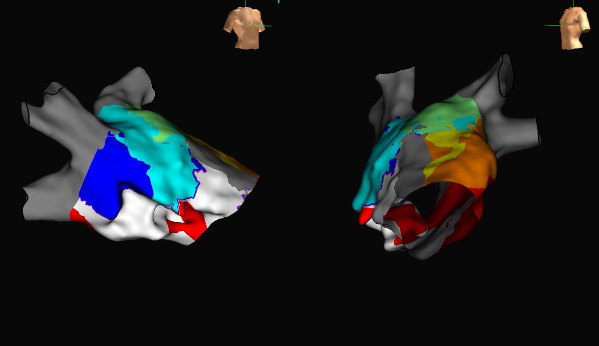 Jenna Sica tweet media