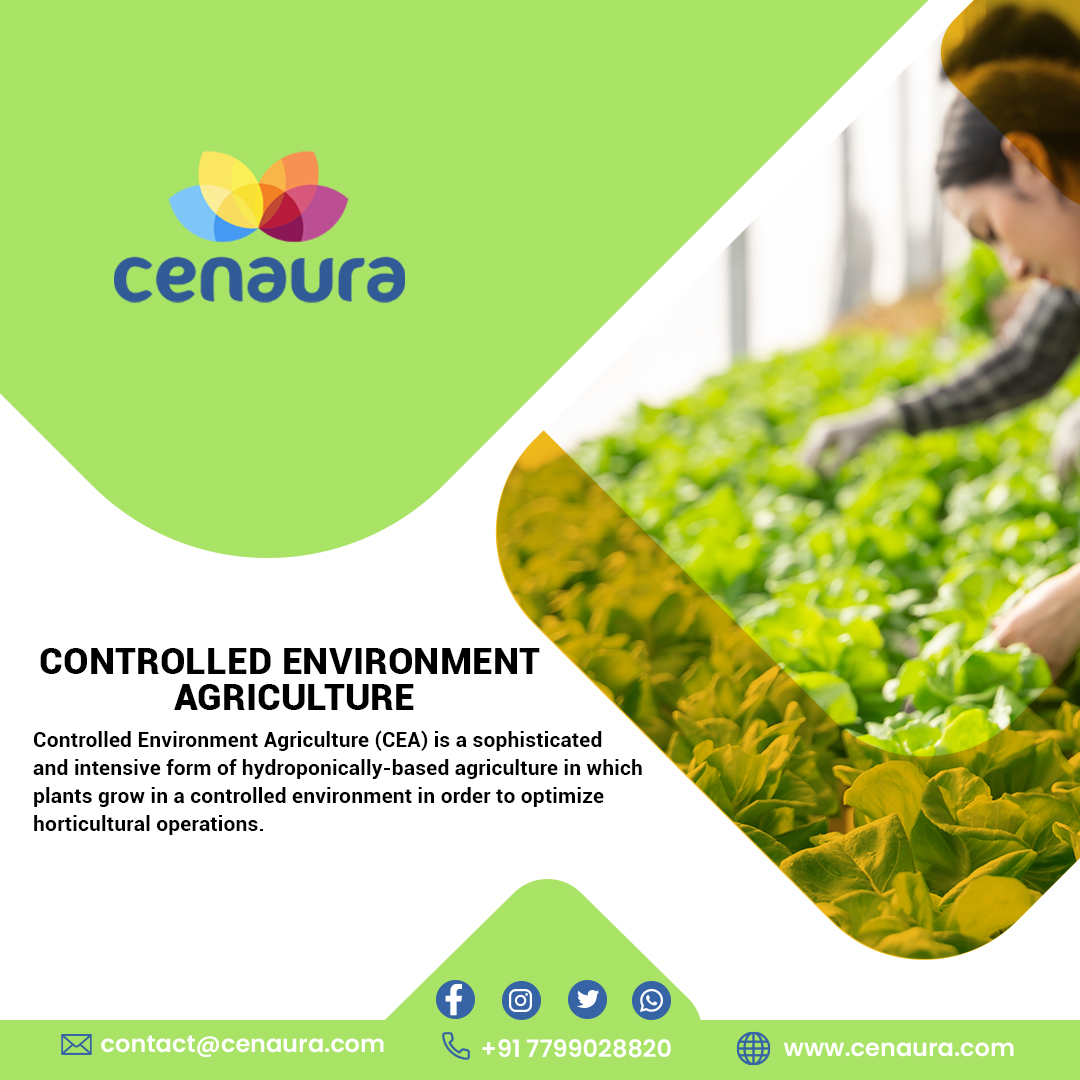 cenauratech's tweet photo. Controlled Environment
Agriculture
#sustainableagriculture #agriculture #sustainablefarming #regenerativeagriculture #sustainability #farmlife #farming #sustainable #knowyourfarmer #sustainableliving #organic #farm #farmersmarket #eatlocal #organicfarming
#regenerativefarming https://t.co/Y2VVafHlHT
