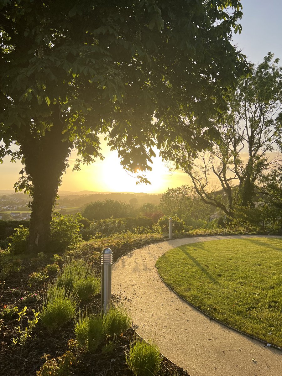 Mary Mac Ginty tweet media