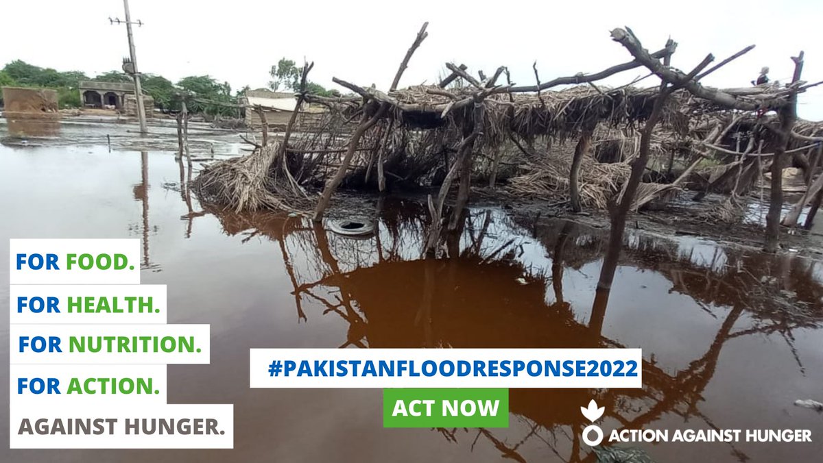 1/3rd of Pakistan is underwater.  Million of homes destroyed and families displaced. We are doing all we can to save lives.  
TIME FOR ACTION IS NOW!
#Actionagainsthunger #Pakistanfloodresponse2022  #ACFPakistan #peopleinneed #ActNow #flashflooding #PakistanFloods #climatecrisis