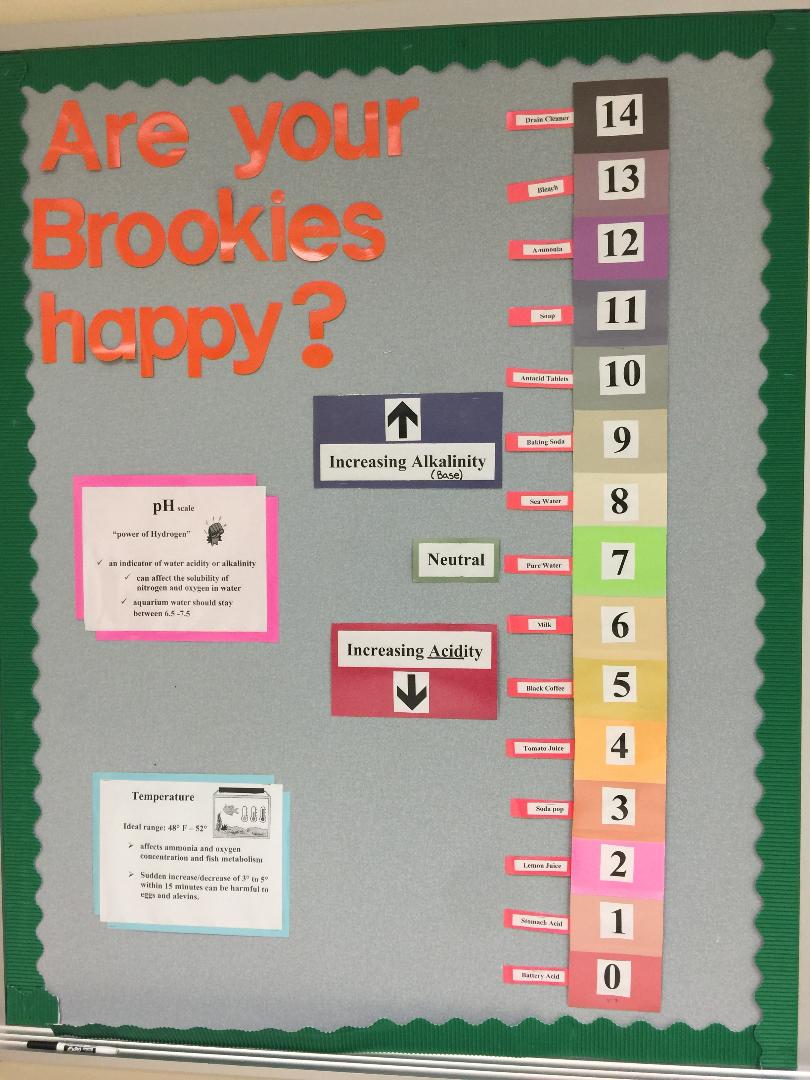 With a vision of a sustainability lab, Mr.Benson in the middle school worked with Chatham University to create the goals of a cross curricular plan and was given funds from the MPF to establish the lab.