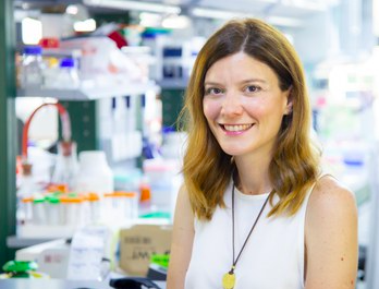 Tigem Telethon (@tigem_telethon) on Twitter photo #JobOffer #PreDocPosition in <a href="/chiara_dimalta/">Chiara Di Malta</a>'s group
What👉Studying role of lysosome in cyst&cancer development. Exploit imaging techniques, gene editing and -omics approaches in relevant cellular and murine models.
Where👉<a href="/Tigem_Telethon/">Tigem Telethon</a>
More👉tigem.it/newsroom/caree… #JobOffer #PreDocPosition in <a href="/chiara_dimalta/">Chiara Di Malta</a>'s group
What👉Studying role of lysosome in cyst&cancer development. Exploit imaging techniques, gene editing and -omics approaches in relevant cellular and murine models.
Where👉<a href="/Tigem_Telethon/">Tigem Telethon</a>
More👉tigem.it/newsroom/caree…