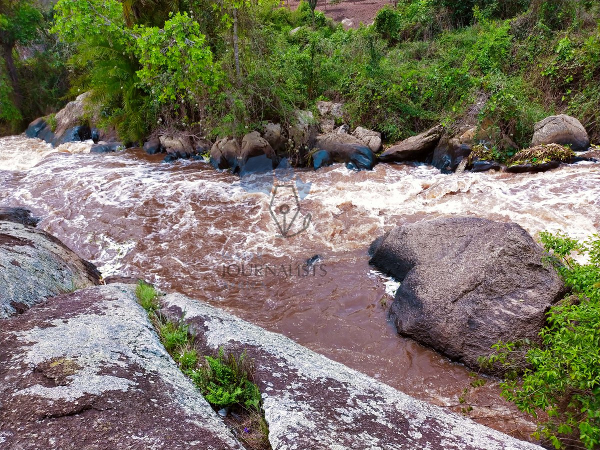 AdellaMbabazi's tweet photo. This River needs saving AsAP.
#SaveRiverRwizi
#EndPlasticPollution
#PaleWater
π· #DellaShots
Cc: @Mugira @RamaTED19 https://t.co/DRkiDZMau1