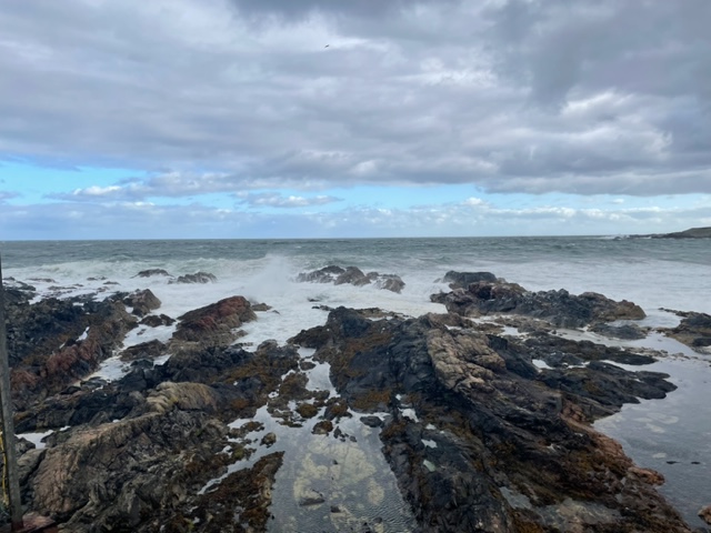 A distinct change in the weather this week, however, our fish shop is open today until 2.30 pm - we've a great selection of fresh, frozen and smoked fish available #shoplocal #freshfish