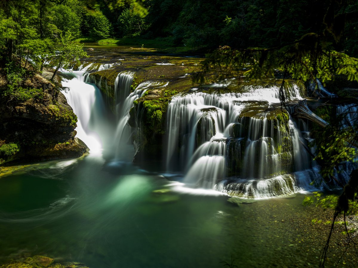 ForestServiceNW tweet picture