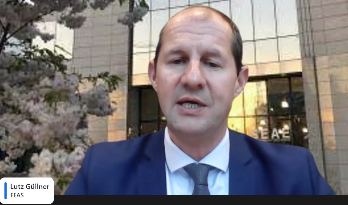 Interesting to hear <a href="/LutzGuellner/">Lutz Güllner 🇪🇺 谷 力 哲</a> speak at  #IDDBrussels on the major threat of information manipulation undermining #democracy. It is the narrative that we see but there is a whole world of contacts, strategies, algorythms &amp; amplification techniques behind it to address.