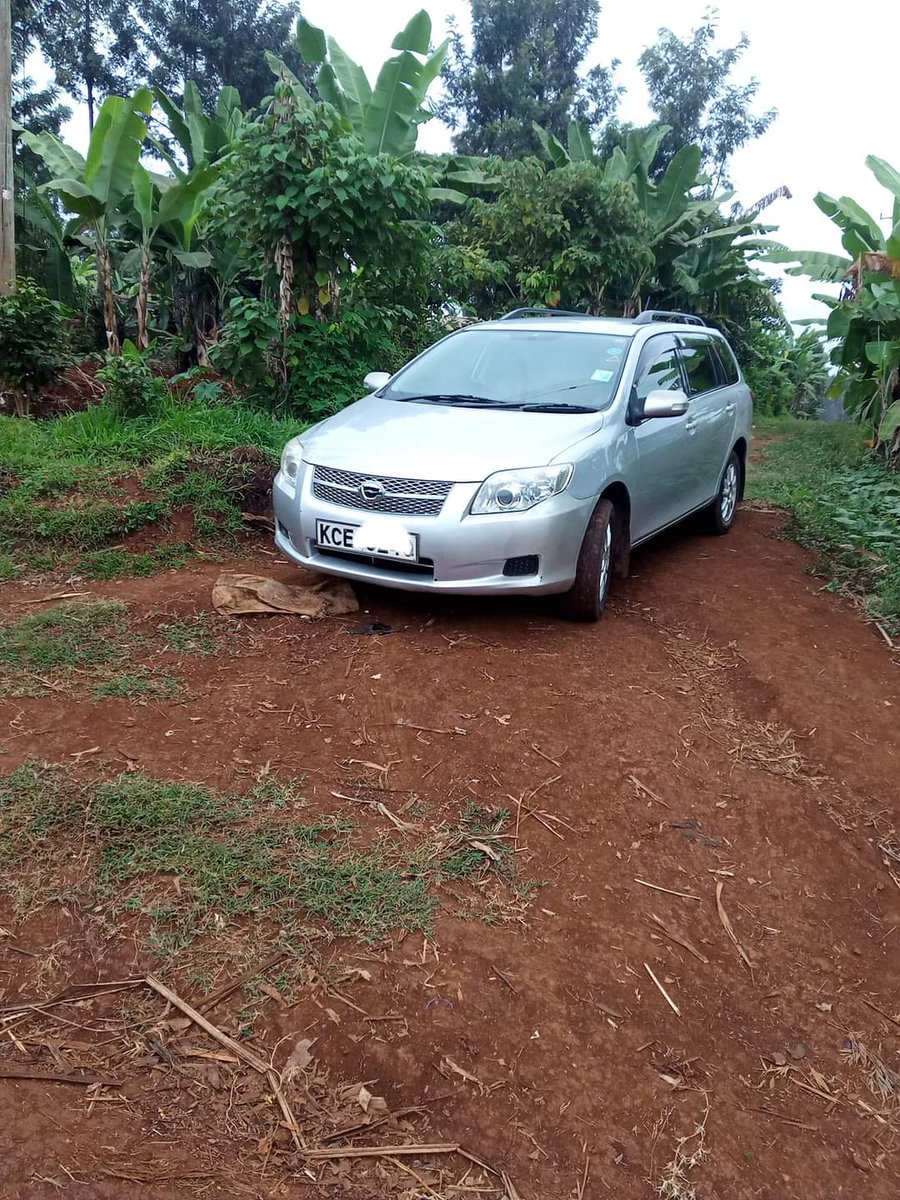betta_gitau's tweet photo. Long thread.
It was in that thicket by the roadside, right in front of my car where everything happened so fast ! 
I was on my knees and his zip was down when my boyfriend found us ! Okay , don't be like my man . Don't judge me before I tell you my side of the story !!! https://t.co/bquwKsdGQa