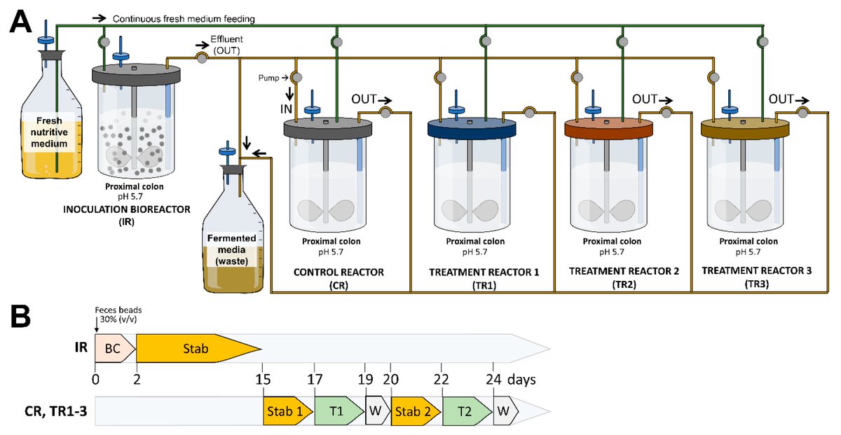 Biology MDPI (@biology_mdpi) on Twitter photo Survival and Interplay of γ-Aminobutyric Acid-Producing Psychobiotic Candidates with the Gut Microbiota in a Continuous Model of the Human Colon mdpi.com/1812494 #mdpibiology via <a href="/Biology_MDPI/">Biology MDPI</a> <a href="/uOttawa/">Université d'Ottawa | University of Ottawa</a>
GABA-producing #bacteria; #probiotic properties; gut #microbiota Survival and Interplay of γ-Aminobutyric Acid-Producing Psychobiotic Candidates with the Gut Microbiota in a Continuous Model of the Human Colon mdpi.com/1812494 #mdpibiology via <a href="/Biology_MDPI/">Biology MDPI</a> <a href="/uOttawa/">Université d'Ottawa | University of Ottawa</a>
GABA-producing #bacteria; #probiotic properties; gut #microbiota