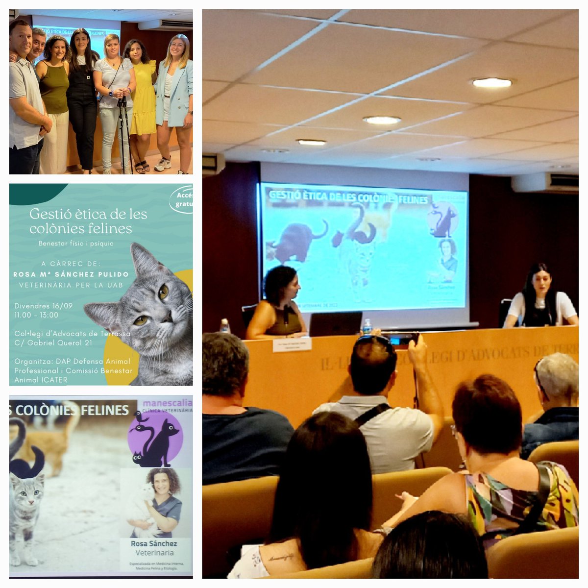 Comencem! Conferència organitzada per la Comissió #DretAnimal de l'<a href="/ICATERadvocats/">Advocats Terrassa</a> i <a href="/AssociacioDAP/">DAP, Defensa Animal Professional</a>  sobre la 'Gestió de colònies felines'🐱 amb la veterinària Rosa Sánchez. Presenta la diputada de Junta <a href="/VilasecaSusanna/">Susanna Vilaseca</a>. Benvingudes, benvinguts al Col-legi! #aprenem