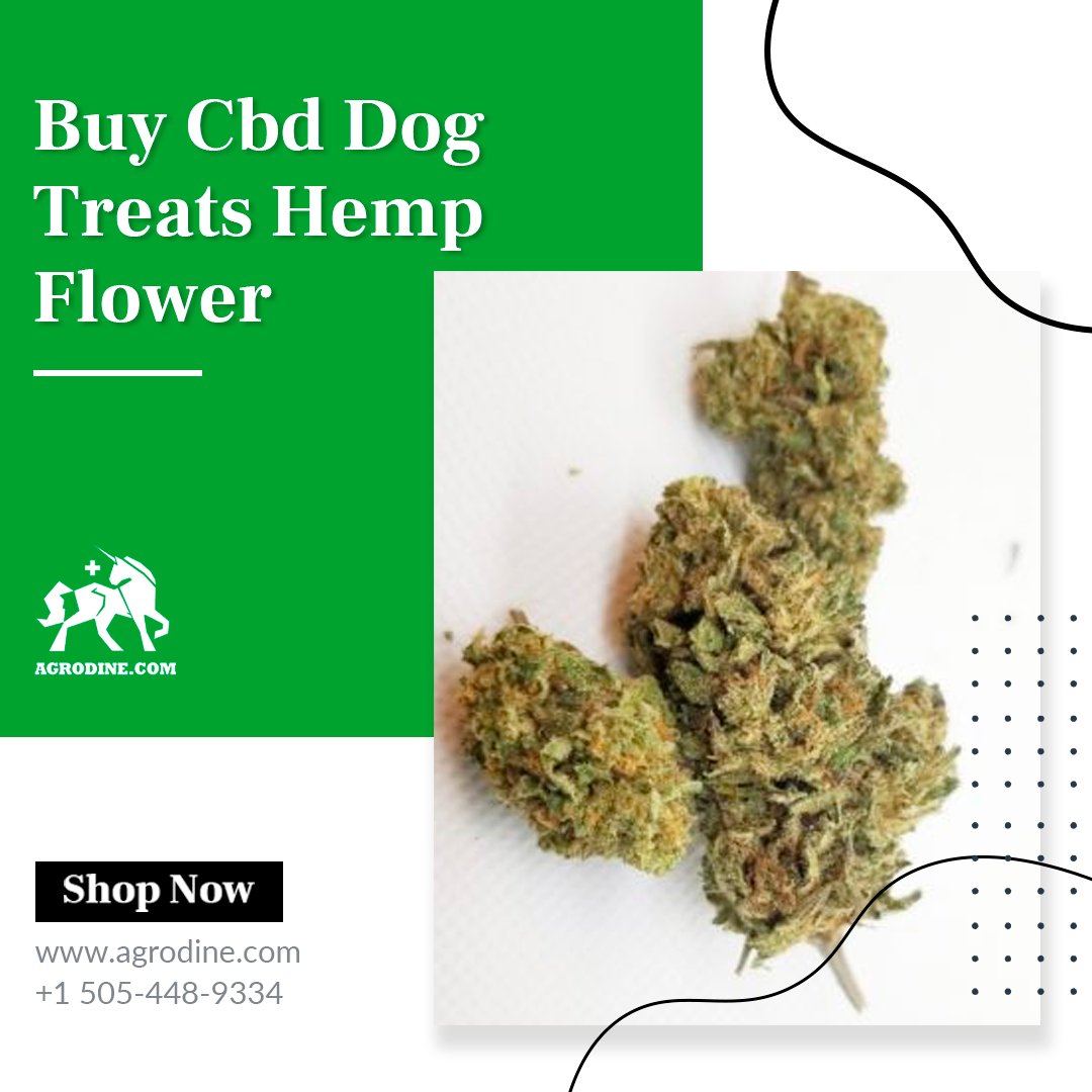 agrodine's tweet photo. You love your dog, but you don't want to give them unhealthy treats. #Buy_CBD_Dog_Treats_Hemp_Flower as they are a healthy, all-natural alternative to traditional dog treats. #cbdseed #agrodine 
https://t.co/1FNrUt5KoJ https://t.co/SI5AIug7KG