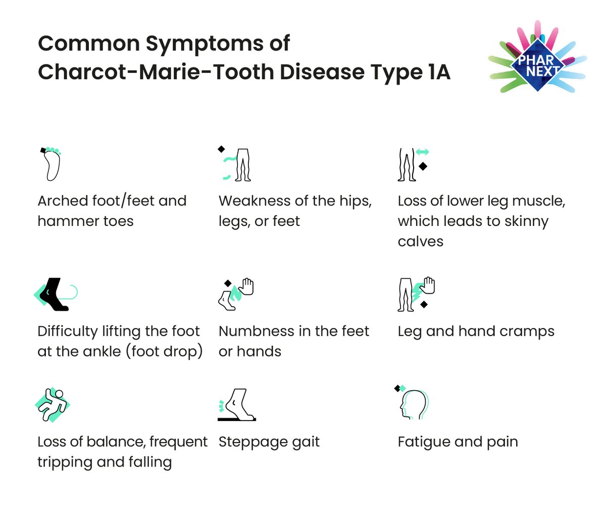 Pharnext's tweet photo. Symptoms of #CMT can vary, they usually appear during adolescence and progressively evolve throughout life with common symptoms including muscle weakness in the feet and legs, and muscular dystrophy in the lower legs.
#CMTAM22 #CMTAwarenessMonth https://t.co/eDuW6rrpqc