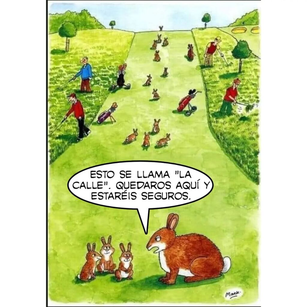 golflagarriga's tweet photo. Bon dia i bon divendres!! Aquest meme sempre vigent 🤣🤣🤣Salut!! #golf #pitchandputt #footgolf #par3 #lagarriga #golflagarriga #pitchandputtcatala #pitchcat #sol #amics #força #salut #instagolf #green #estiu #gencat #procicat #ufec #esportsegur #esport… https://t.co/aMRZ3iBbve https://t.co/FEyENerwaq