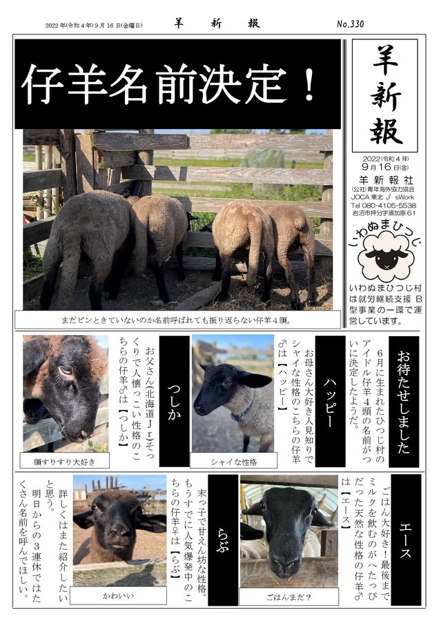 いわぬまひつじ村 宮城県岩沼市 羊の居る牧場 ドッグラン