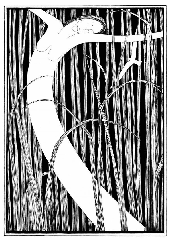 Glasgow artist Hannah Frank (1908-2008) - half price signed prints &amp; a second print free till end sept. Sign up to the mailing list hannahfrank.org.Uk to find out how to get this special offer. Proceeds go to support a month of events about the Amazon in Lancaster in Nov.