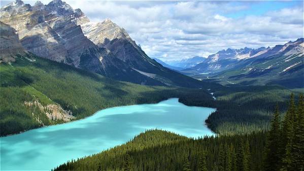 'Turquoise Peyto Lake' - Hang it on your wall as a manifestation of your dreams. Look at it & make it true! Go on that trip that you dream of! kathrin-poersch.pixels.com/featured/turqu… #BuyIntoArt #Motivational #lifelessons #wallartforsale #shop #FridayFeeling #FridayThoughts #PhotographyIsArt