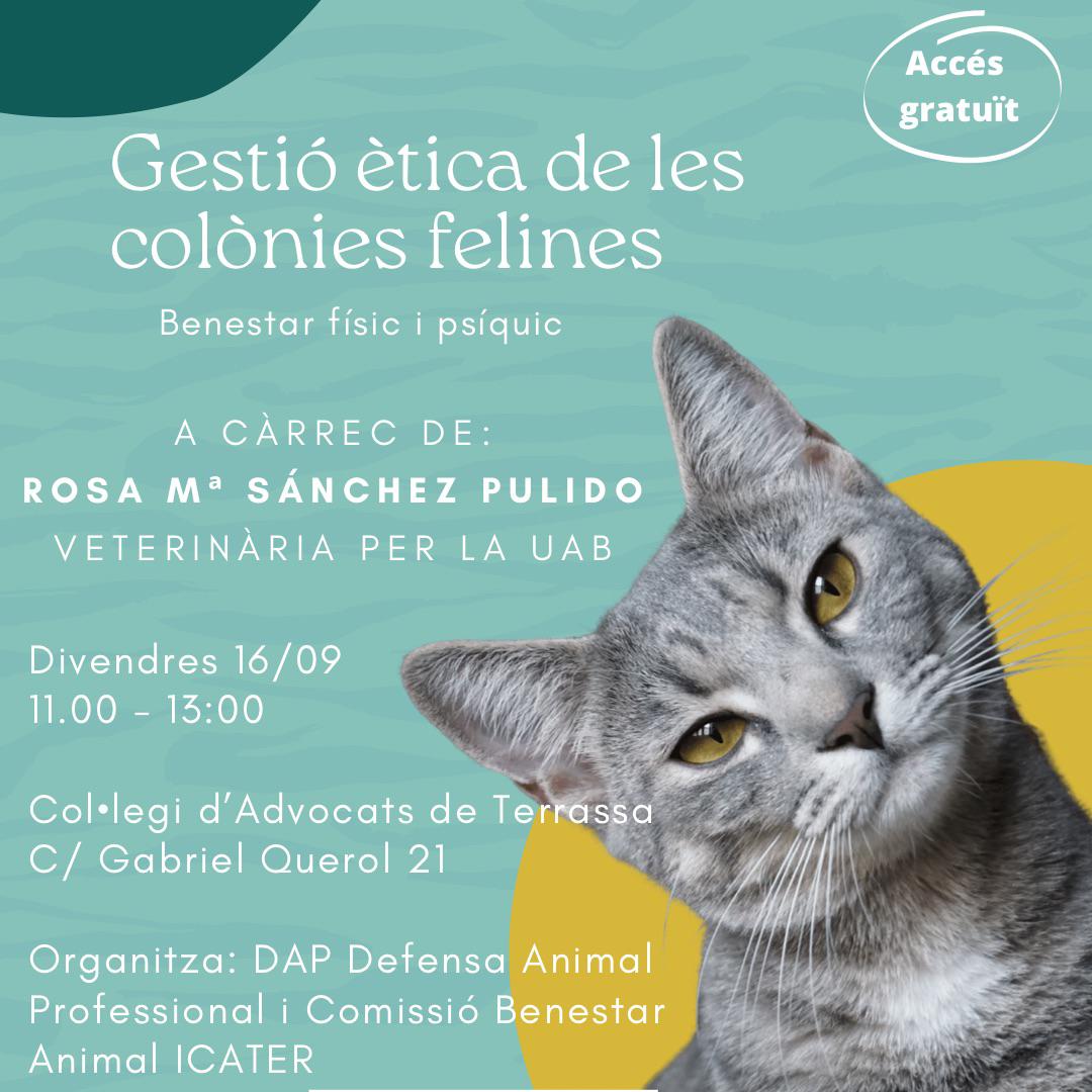 Avui, a la xerrada de gestió ètica de colònies felines, organitzada conjuntament amb <a href="/ICATERadvocats/">Advocats Terrassa</a> i de la mà de la Rosa M. Sánchez. Podeu seguir el directe a IG! #coloniesfelines