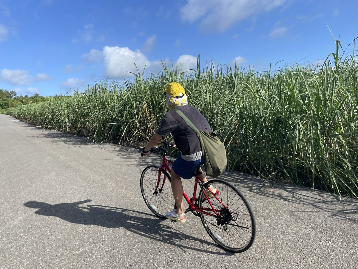 Mr80_gomasuri's tweet photo. ワイズチャリのおかげで沖縄観光を楽しめました！
#ワイズキャビン那覇
#ワイズチャリ https://t.co/ajeYW3XIqa