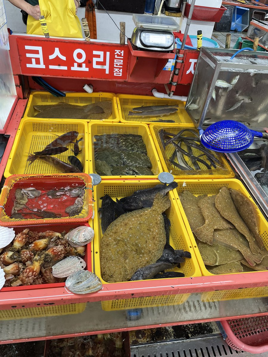 Vinuri Silva (@silvavinuri) on Twitter photo Jagalchi market- South Korea’s largest seafood market that has 7 levels! They even prepare and cook the seafood which you can eat in the restaurent floor. Jagalchi market- South Korea’s largest seafood market that has 7 levels! They even prepare and cook the seafood which you can eat in the restaurent floor.