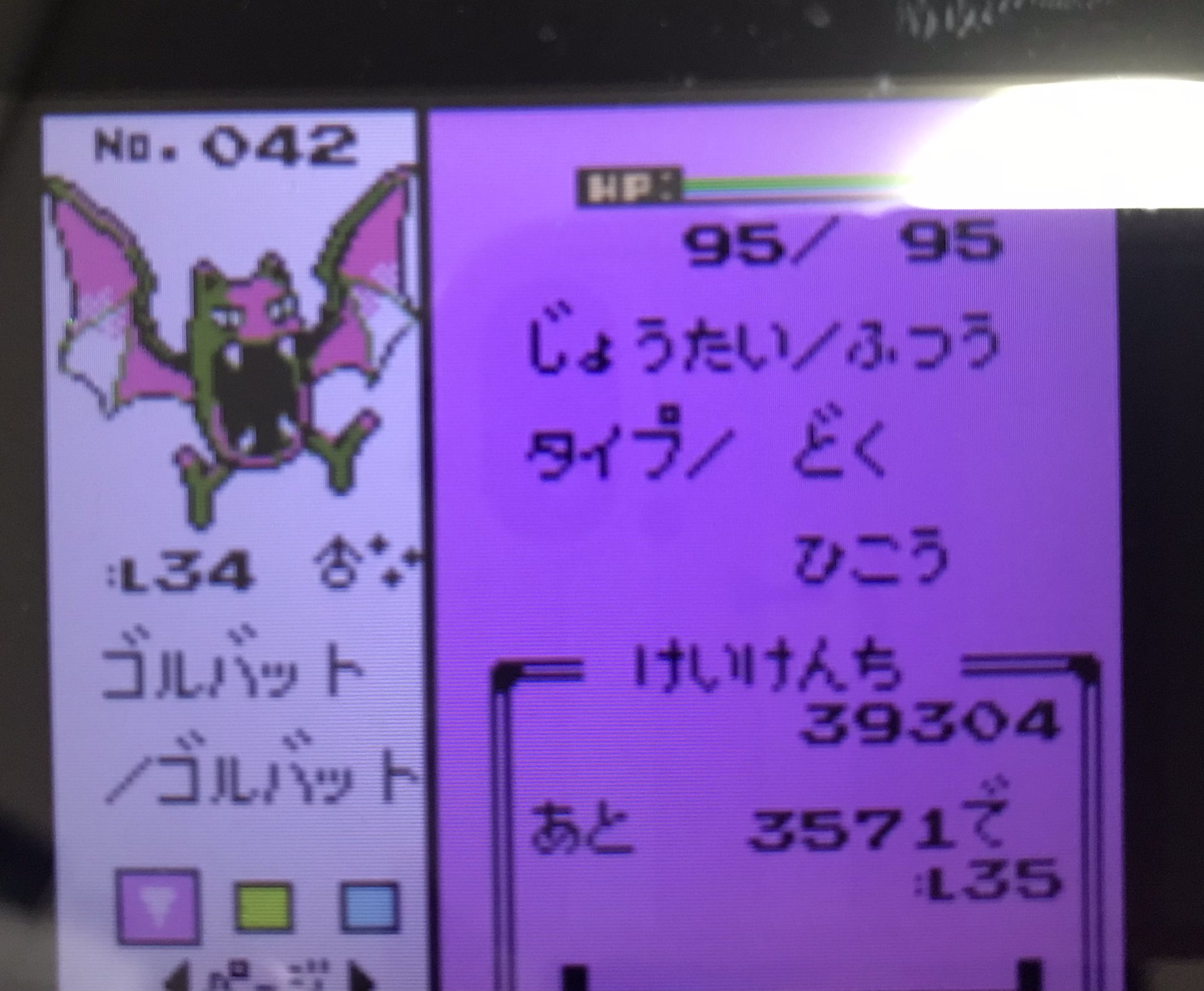 まひるん ポケモンクリスタルでレベル上げしてたら 色違い出てきて捕まえた T Co Xlghjrsq08 Twitter