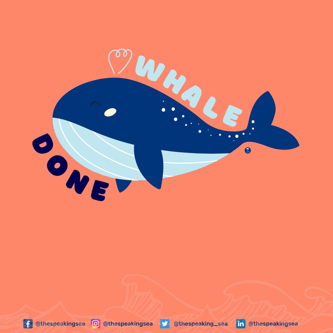 thespeaking_sea's tweet photo. Yay!! You made it to Friday! Whale done, seas! 🥹🫶🏼

#motivation #scicomm #fisheries #sciencefortheseas #saveourseas #fisheriesmanagement #morefishnotplastic #onelessmovement #octopus #iuufishing #breathe #sdg14 #sdg #lifebelowwater #marinepollution #marinelife #whale #eafm https://t.co/ERNTO9gDch
