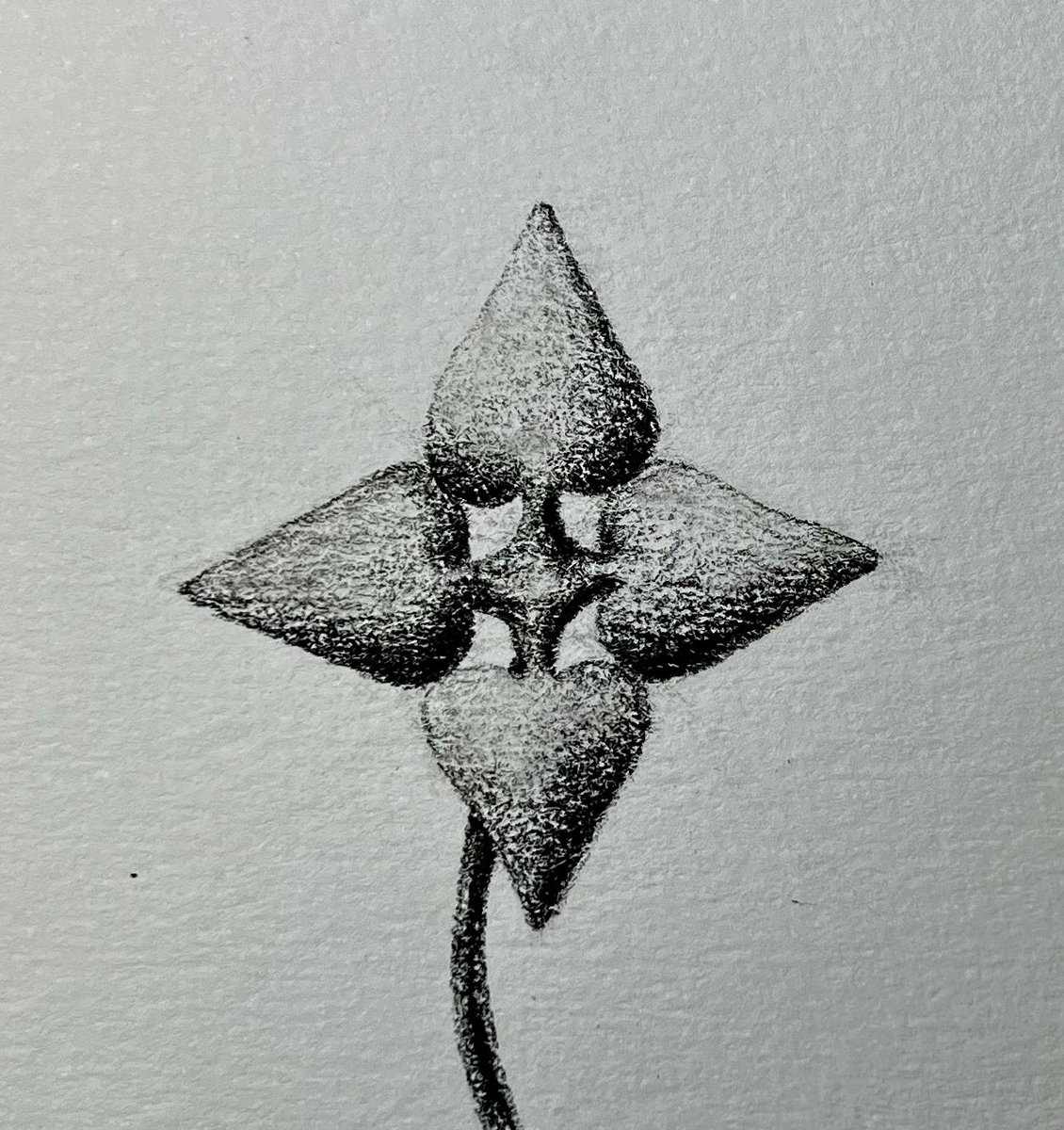 Chaem Flowers Gang has came... On Paras 
เข้าไปชมกันได้เลยนะครับ
Paras: paras.id/mchaem.near/co…
ฝากเพื่อนช่วย กดฟอลด้วยนะครับ อยากขอ verified ครับ
🙏🙏🙏