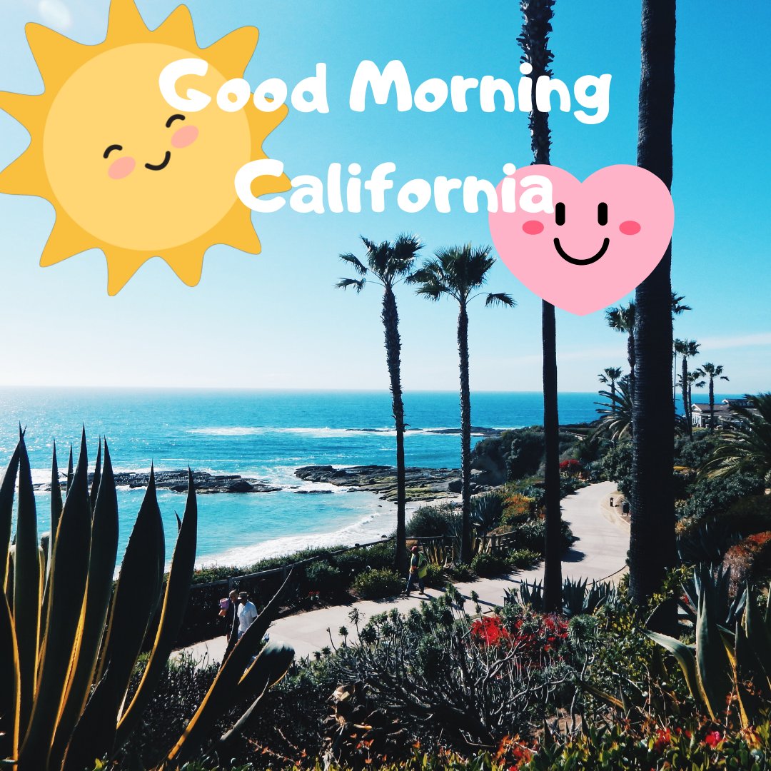 If you love California,you should visit our store and check all our product about this great state (link in bio)
#instacalifornia #instalosangeles #instaangeles #instalos #instastate #instasoutherncalifornia #instasan #instadisney #instasanfrancisco #instatoday #tee #shirts