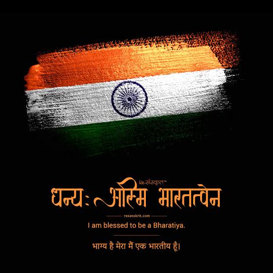 🇮🇳🧡🤍💚