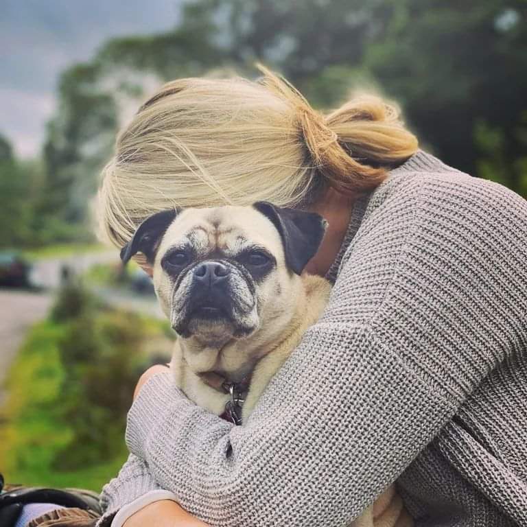 Jem_JemA's tweet photo. When you need a friend...#ourladylulu #doglove #womansbestfriend #DogsOnTwitter #pug #puggle #beagle https://t.co/WQMXMBV5f0