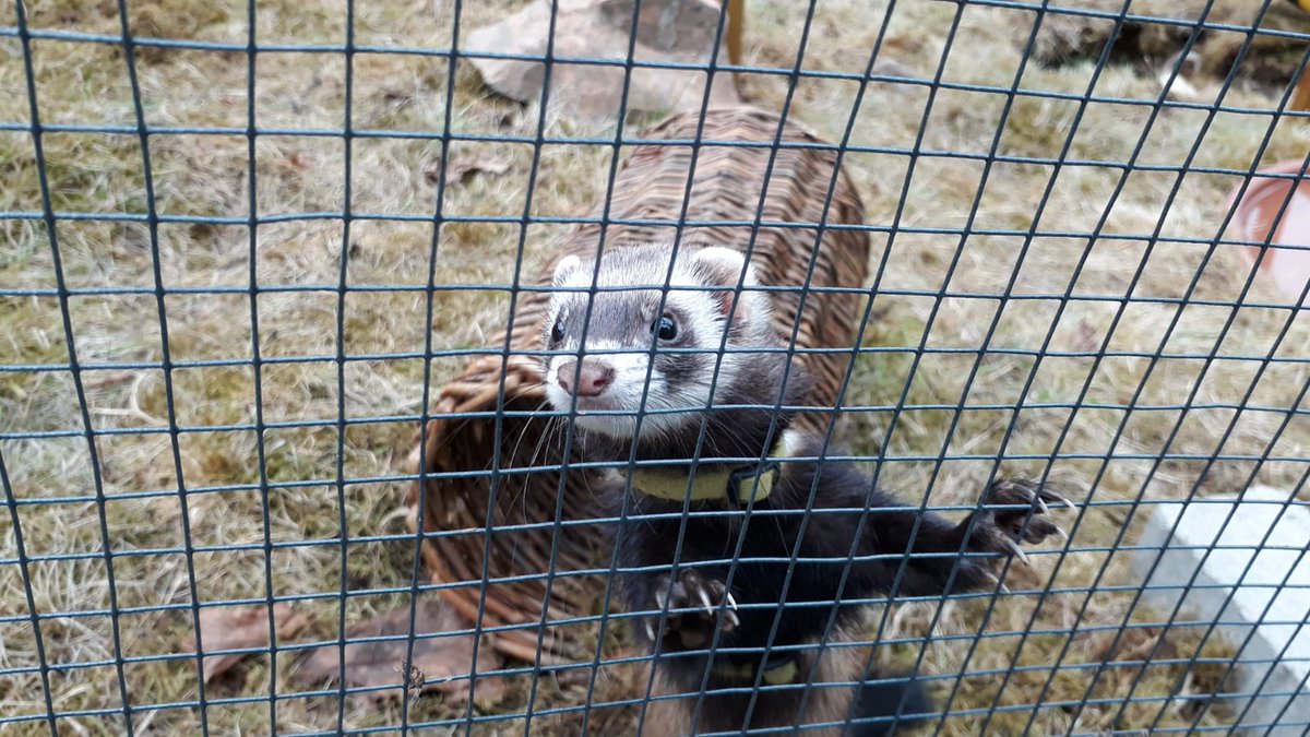 Ich liebe sie so sehr ❤️