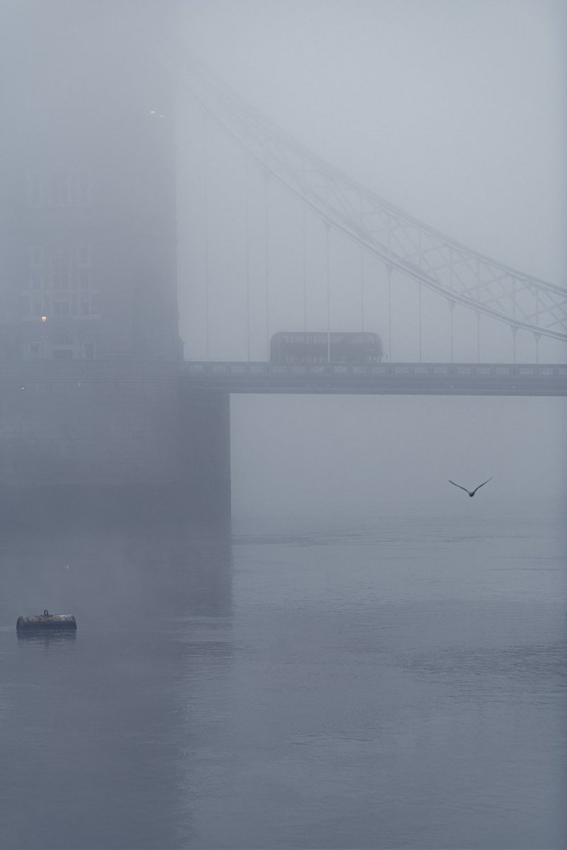 DanniCphotos's tweet photo. Foggy September in London

#london #towerbridge #foggy #londonphotographer #moody #transportforlondon #nikonphotography https://t.co/Sn4xDkAk9q