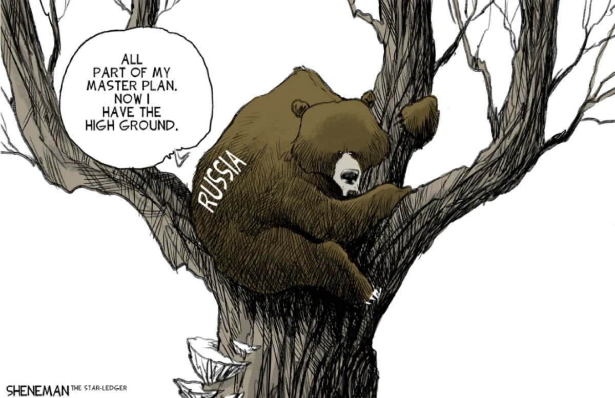 gstuedler's tweet image. #treed