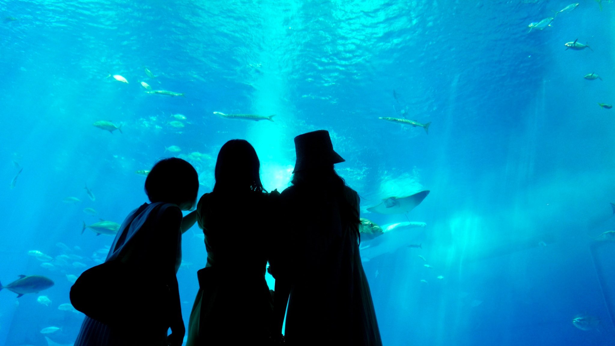 貴島 明日香 on X: 