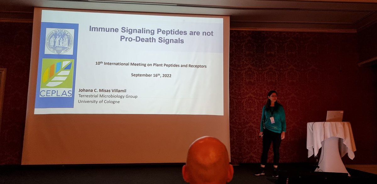 mau_koe's tweet photo. Excellent talk from @JohanaMisas from @gun_doe lab about the origin of PROZIP1 and phytocytokines in Zea mays #pprm2022 https://t.co/i77Bjg1Hnl