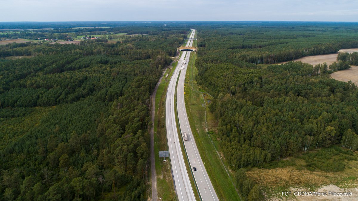 PPiestrzynski's tweet photo. Właśnie rozpoczęła się przemiana #DK18 w #A18 na dł 70 km pomiędzy Olszyną i Golnicami, która zakończy się w 2023 r.  @GDDKiA otrzymała pozwolenie na użytk. rozbudowanego do parametrów autostrady odcinka 2 o długości 21,9 km między węzłami Żary Zach i Iłowa. #DrogiBetonowe https://t.co/JSGvKyfYmX