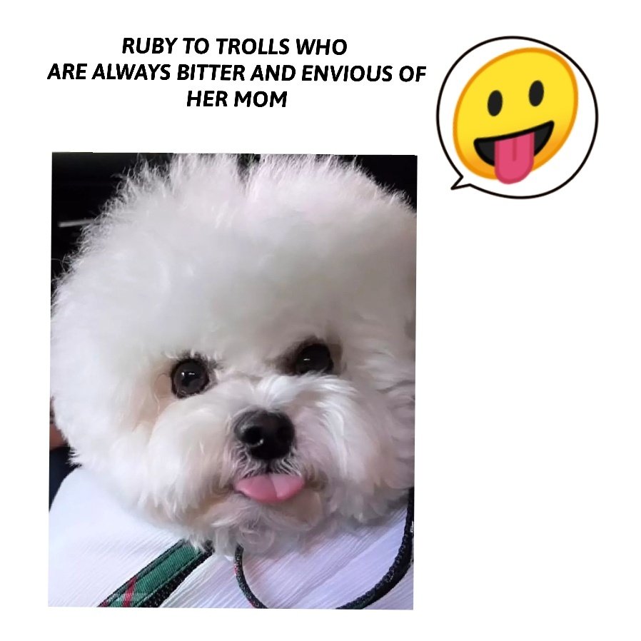 D4 ︎ on Twitter "Ruby to trolls who are always bitter