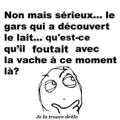 Bon vendredi les twitteux🤣🤣