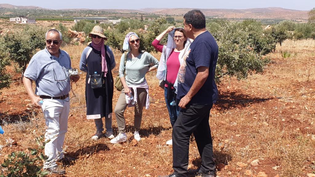 IntactProgetto's tweet image. Beatrice Belfiori and Claudia Riccioni (@CNRsocial_) on the 29th and 30th of June during their secondment at @um5rabat spent two days visitin examples of successfully cultivated T. melanosporum orchards in Imouzzer Kandar with Professor Lahsen Khabar about management practices.