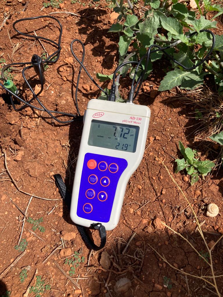 IntactProgetto's tweet image. Beatrice Belfiori and Claudia Riccioni (@CNRsocial_) on the 29th and 30th of June during their secondment at @um5rabat spent two days visitin examples of successfully cultivated T. melanosporum orchards in Imouzzer Kandar with Professor Lahsen Khabar about management practices.