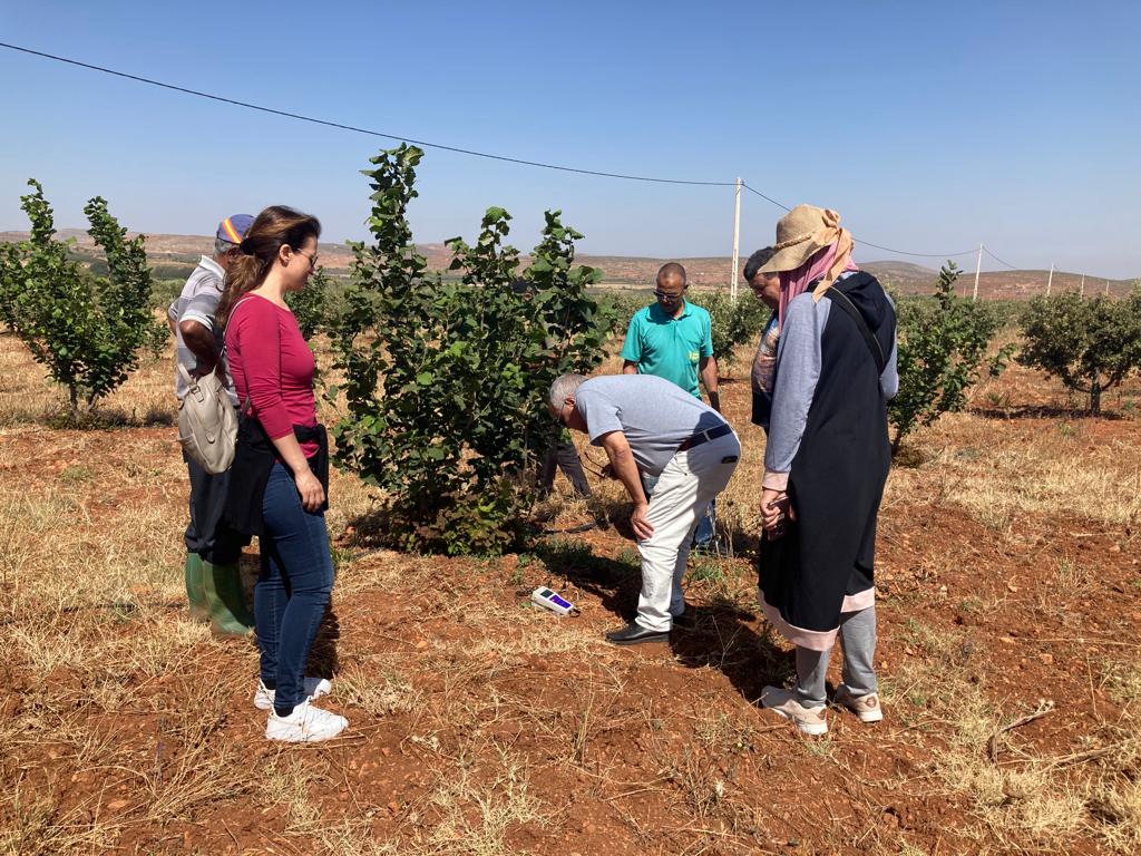 IntactProgetto's tweet image. Beatrice Belfiori and Claudia Riccioni (@CNRsocial_) on the 29th and 30th of June during their secondment at @um5rabat spent two days visitin examples of successfully cultivated T. melanosporum orchards in Imouzzer Kandar with Professor Lahsen Khabar about management practices.
